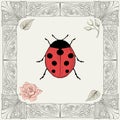 Ladybug and rose drawing Royalty Free Stock Photo
