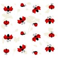 Ladybug seamless pattern, on white background decorated with light gray plants silhouettes - vector