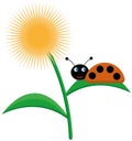 Ladybug sits on a dandelion leaf and smiles, vector, illustration Royalty Free Stock Photo