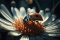 The ladybug sits on a flower. Macro shot, close up. Generative AI Royalty Free Stock Photo