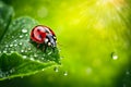 Ladybug is sitting on green leaf with dewdrops on it. Generative AI Royalty Free Stock Photo