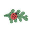 Ladybug sitting on green leaf flat vector icon Royalty Free Stock Photo
