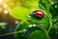 Ladybug is sitting on green leaf. Generative AI Royalty Free Stock Photo