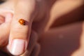 Ladybug sitting on his hand - basking in the sun Royalty Free Stock Photo