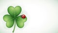 A ladybug sitting on a three-leaf clover on a white background. Royalty Free Stock Photo