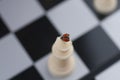 Ladybug takes off from the chess queen Royalty Free Stock Photo