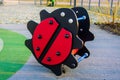 Ladybug toy at the playground