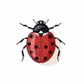 Accurate And Detailed Ladybug Flat Illustration In Light Red And Light Gray