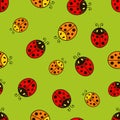 Ladybug.Vector seamless pattern. Royalty Free Stock Photo