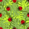 Ladybug.Vector seamless pattern. Royalty Free Stock Photo