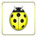 Ladybug yellow realistic cartoon icon