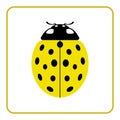 Ladybug yellow realistic cartoon icon