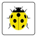 Ladybug yellow realistic cartoon icon