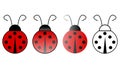 Ladybugs