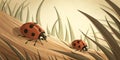 Ladybugs crawling on blades of fresh green grass Royalty Free Stock Photo