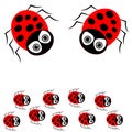Ladybugs isolated on white background Royalty Free Stock Photo