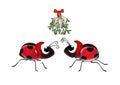 Ladybugs kiss under the mistletoe