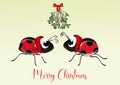 ladybugs kiss under the mistletoe