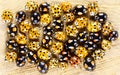 Ladybugs Harmonia axyridis. Color biodiversity