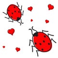 Ladybugs in love isolated Royalty Free Stock Photo