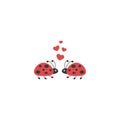 Ladybugs with red hearts. Beetle couple icon isolated on white. Vector flat illustration Royalty Free Stock Photo