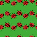 Ladybugs seamless pattern, cute insects in horizontal rows on a green background Royalty Free Stock Photo