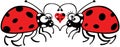 Ladybugs tenderly falling in love
