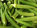 Ladyfinger ocra Royalty Free Stock Photo