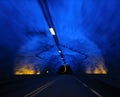 The Laerdal Tunnel