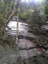 Lage park Stones Waterfall Rio de Janeiro Brazil