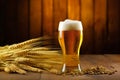 lager beer foam alcohol pint gold pub drink beverage glass. Generative AI. Royalty Free Stock Photo