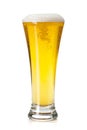 Lager beer glass Royalty Free Stock Photo