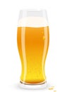 Lager beer. Vector illustration.