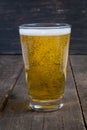 lager draft beer in a glass Royalty Free Stock Photo