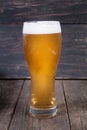 Lager draft beer in a glass Royalty Free Stock Photo