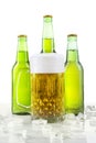 Lager with foam in the glass and bottles Royalty Free Stock Photo