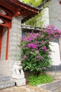 Lagerstromia indica linn with chinese building Royalty Free Stock Photo