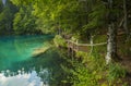 Laghi di fusine / Fusine lakes / Belopeska jezera, Italy Royalty Free Stock Photo