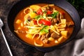 Lagman with beef and vegetables Royalty Free Stock Photo