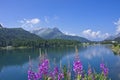 Lago Bianco, Natural landscape in Alps, Switzerland, Europe Royalty Free Stock Photo