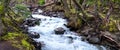 Lago del Desierto, Argentina. January 18 2019. A pristine landscape of a stream, vegetation and rocks in the Patagonia, South