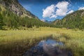 Lago delle Streghe alpine lake at Alpe Devero Italy with trees and clear water Royalty Free Stock Photo
