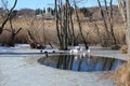 Lago di Ghiaccio, Italy. Royalty Free Stock Photo