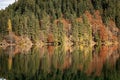 Lago di Tovel - Beautiful Alpine Lake Trentino-Alto Adige Italy Royalty Free Stock Photo