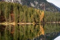 Lago di Tovel - Beautiful Alpine Lake Trentino-Alto Adige Italy Royalty Free Stock Photo