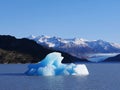 Lago Grey Iceberg