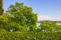 Lago Maggiore, Stresa lake landscape, Italy, Lombardy Royalty Free Stock Photo