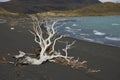 Lago Nordenskjold, Torres del Paine National Park, Chile Royalty Free Stock Photo