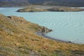 Lago Nordenskjold, Torres del Paine National Park, Chile Royalty Free Stock Photo