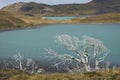 Lago Nordenskjold, Torres del Paine National Park, Chile Royalty Free Stock Photo